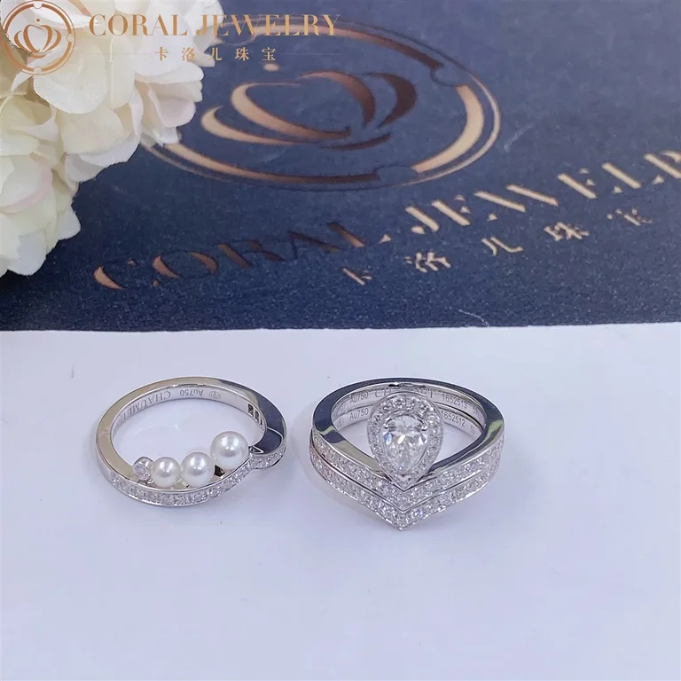 Chaumet Joséphine Aigrette Ring J84092-083590-083290 Platinum, Diamonds Combination Rings6