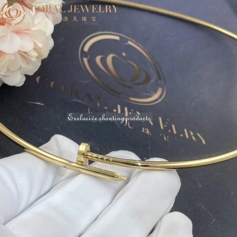 Cartier B7224799 Juste un Clou Collar Necklace Small Model 5