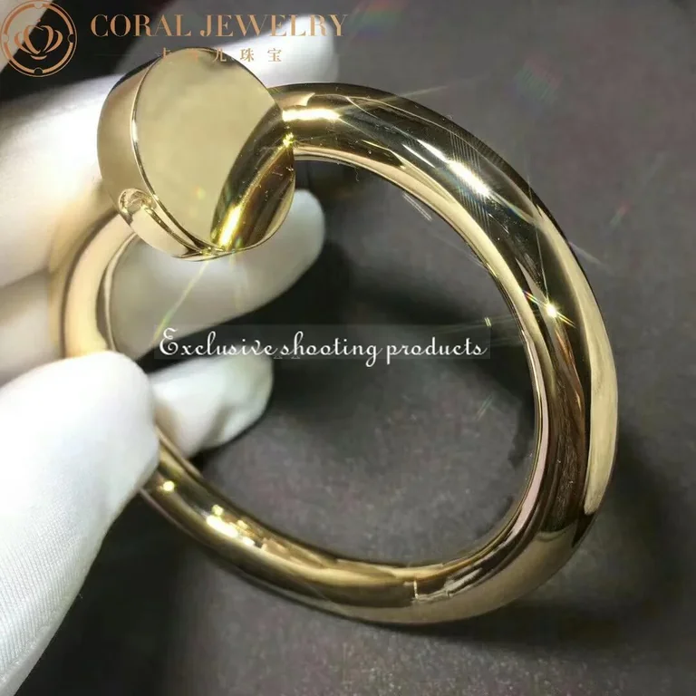 Cartier Juste Un Clou N6039717 Bracelet Large Model Yellow Gold 3