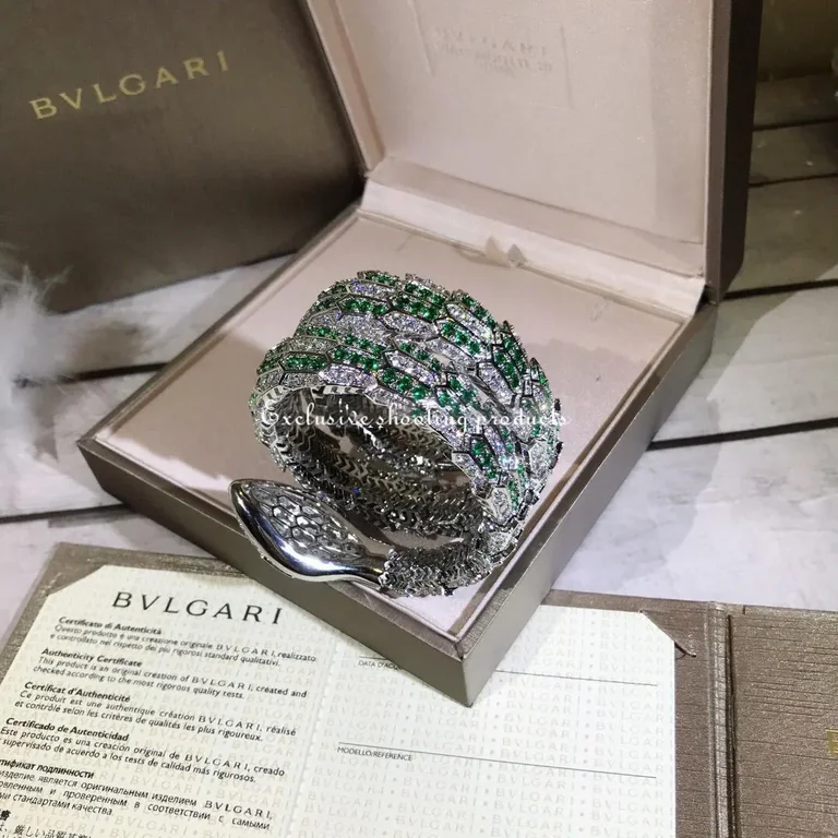 Bvlgari Serpenti Secret Watch 101902 5