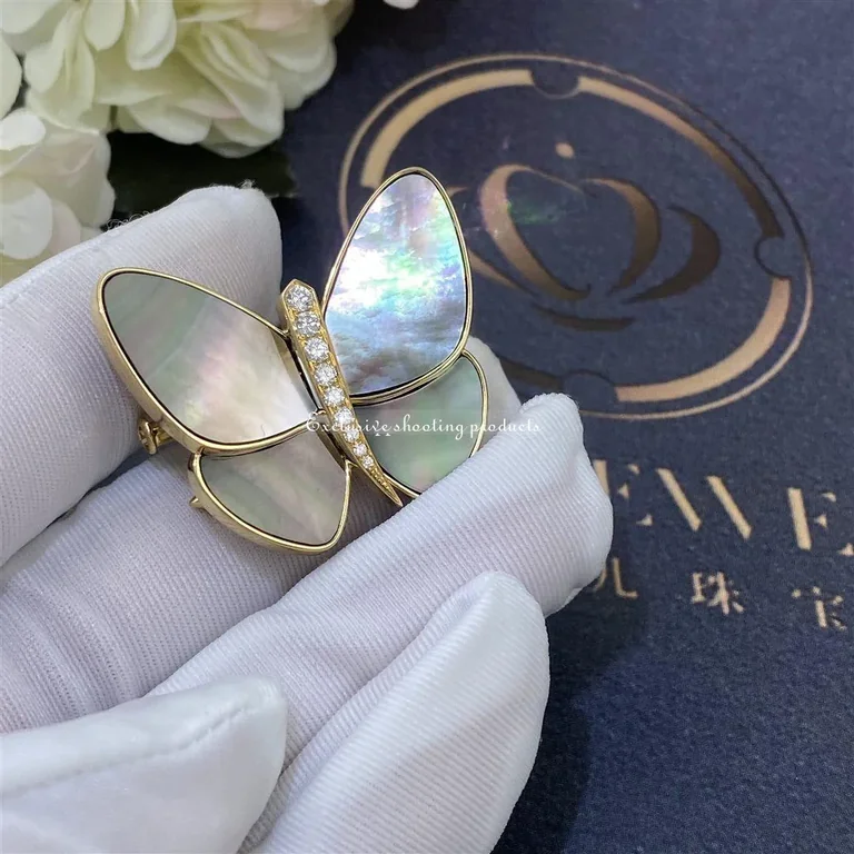 Van Cleef & Arpels VCARA64300 Butterfly Clip Yellow gold Diamond Mother-of-pearl Clip 5
