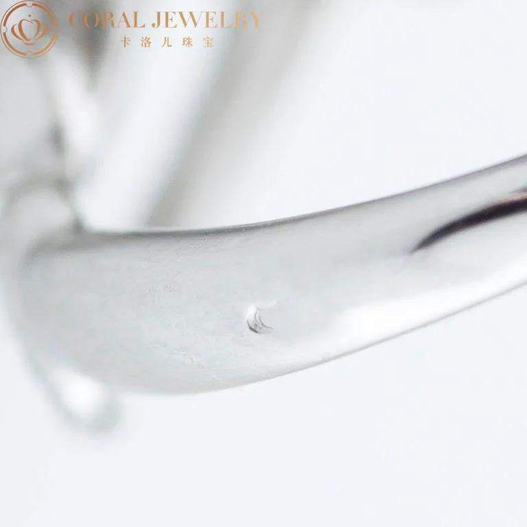 Cartier Panthère De Cartier Ring White Gold Diamond Emerald & Onyx Walking 7