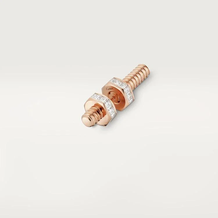 Cartier Ecrou De Cartier N8515213 Earring Brooch 4