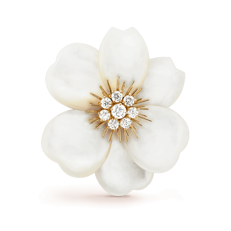 Van VCARA53800 Cleef & Arpels Rose de Noël clip large model Yellow gold Diamond Mother-of-pearl clip 2