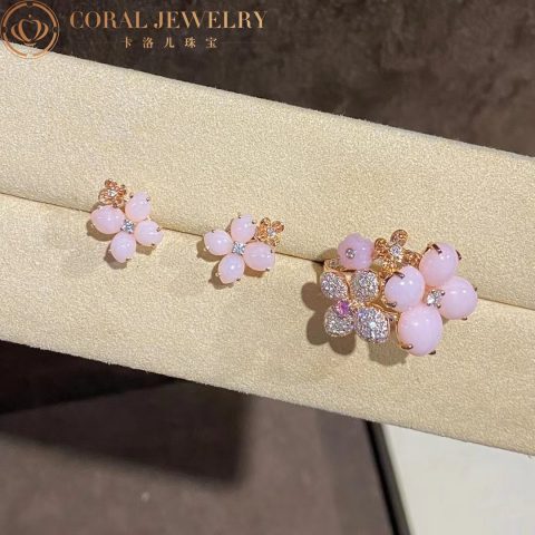 Chaumet Hortensia Opal 082787, Sapphire and White Diamonds Ring 9