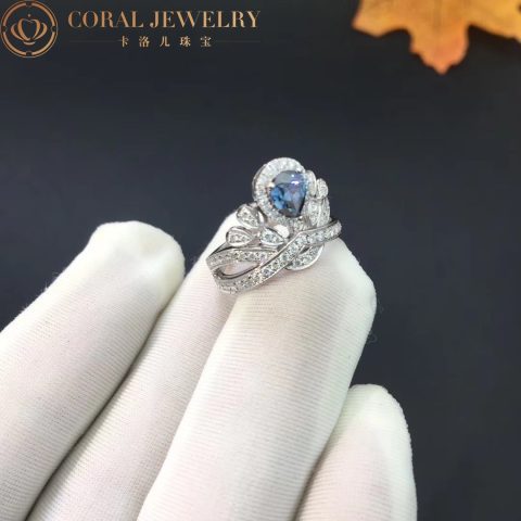 Chaumet Joséphine Aigrette Impériale Ring Platinum Sapphire 5