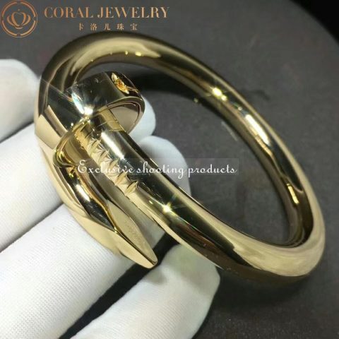 Cartier Juste Un Clou N6039717 Bracelet Large Model Yellow Gold 8