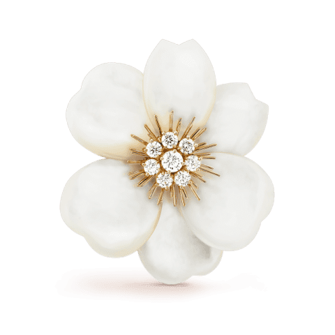 Van VCARA53800 Cleef & Arpels Rose de Noël clip large model Yellow gold Diamond Mother-of-pearl clip 2