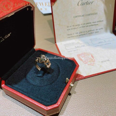Cartier Panthère De Cartier B4221400, Rose Gold, Tsavorite, Onyx 22