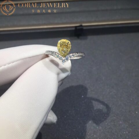 Chaumet Josephine Aigrette Ring White Gold White And Yellow Diamonds Coral 11