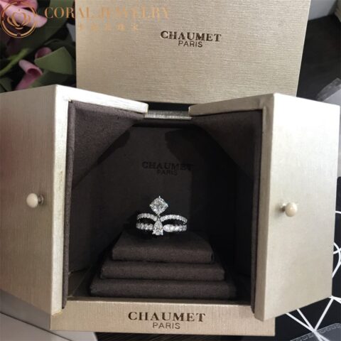 Chaumet Joséphine Éclat Floral Ring J3MZDC Platinum Diamonds 7
