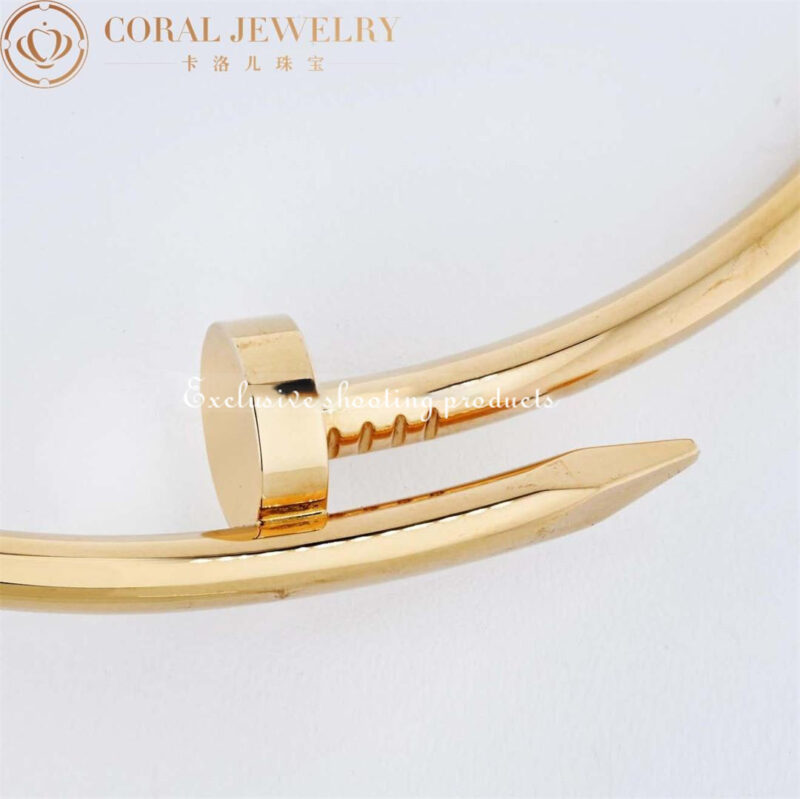 Cartier Juste un Clou Collar N7424165 Necklace Medium Model Yellow Gold 3