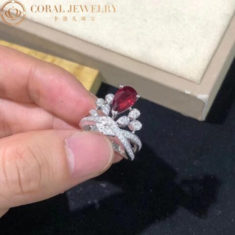 Chaumet Joséphine Aigrette Impériale Ring 082920 Platinum Ruby Diamonds 5