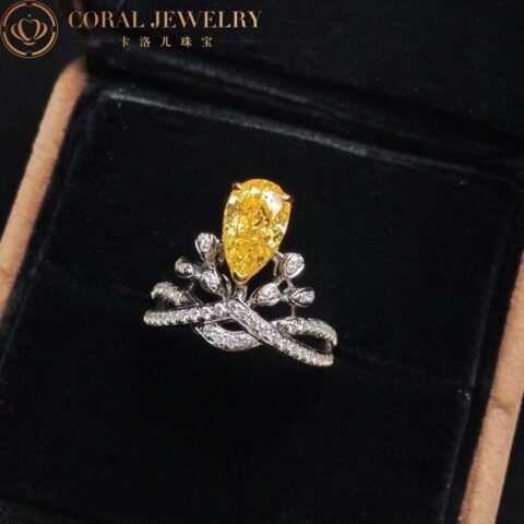 Chaumet Joséphine Aigrette Impériale Ring 082895 Platinum yellow diamond diamonds 5