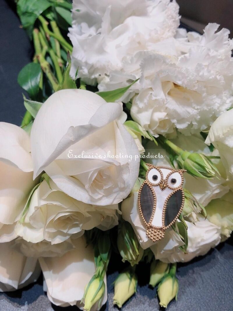 Van VCARP2AV00 Cleef & Arpels Lucky Animals Owl clip Yellow gold Mother-of-pearl Onyx clip 2