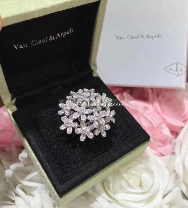 Van Cleef & Arpels Ring Socrate Bouquet Ring Diamond White Gold Ring 6