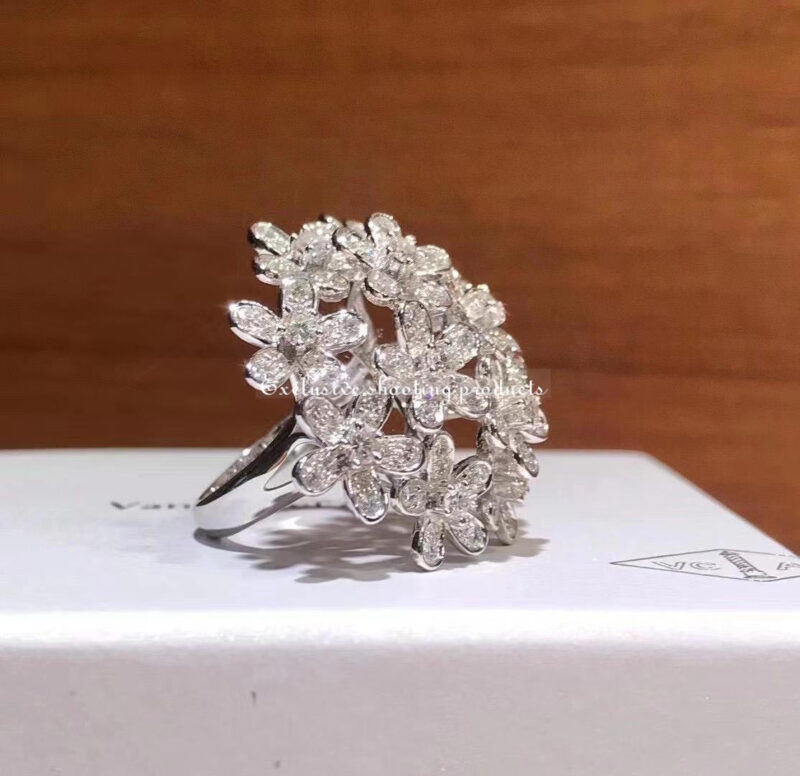 Van Cleef & Arpels Ring Socrate Bouquet Ring Diamond White Gold Ring 4